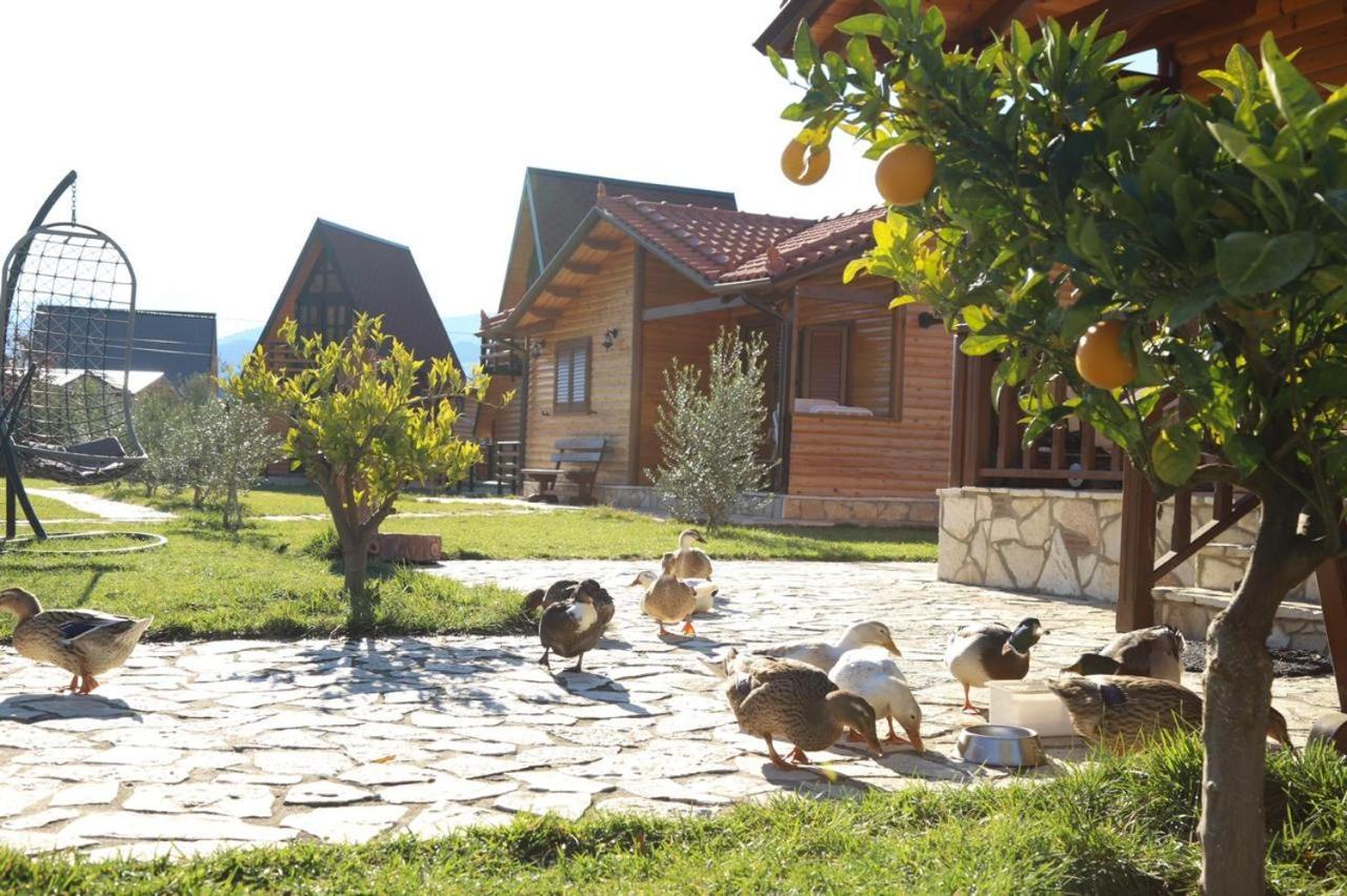הוילה Memaliaj Sancho Farm Albania מראה חיצוני תמונה