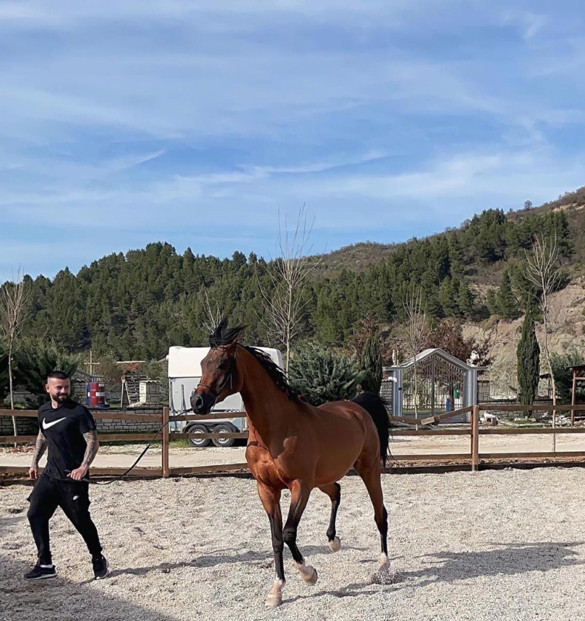הוילה Memaliaj Sancho Farm Albania מראה חיצוני תמונה