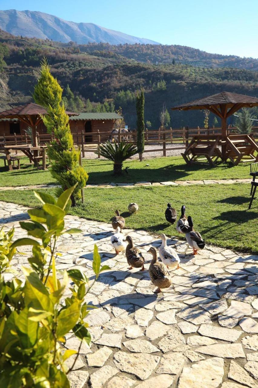 הוילה Memaliaj Sancho Farm Albania מראה חיצוני תמונה